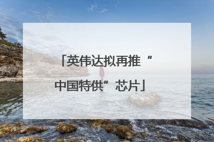 英伟达拟再推“中国特供”芯片