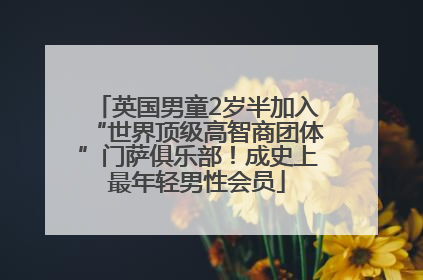 英国男童2岁半加入“世界顶级高智商团体”门萨俱乐部！成史上最年轻男性会员