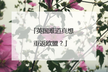 英国难道真想重返欧盟？