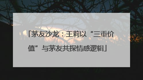 茅友沙龙：王莉以“三重价值”与茅友共探情感逻辑