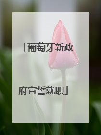 葡萄牙新政府宣誓就职