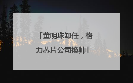 董明珠卸任，格力芯片公司换帅