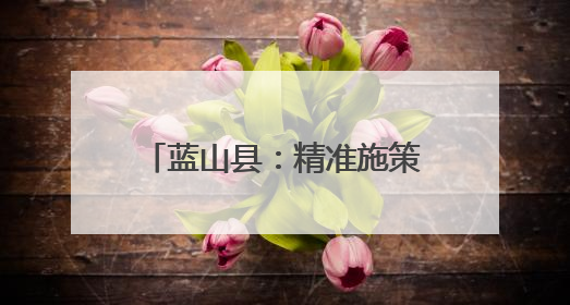 蓝山县：精准施策促就业 实现企业和学生“双向奔赴”