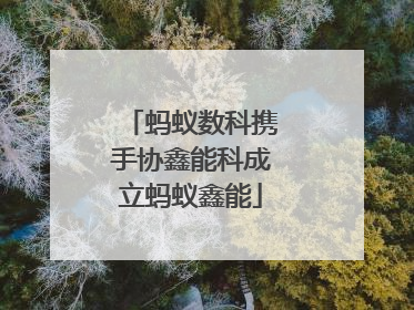 蚂蚁数科携手协鑫能科成立蚂蚁鑫能