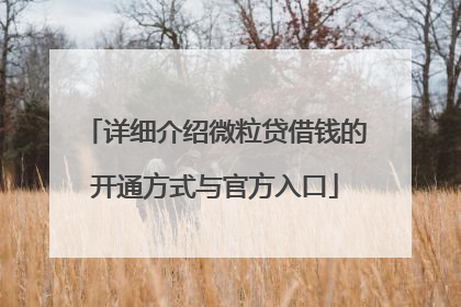 详细介绍微粒贷借钱的开通方式与官方入口