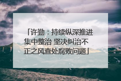 许勤：持续纵深推进集中整治 坚决纠治不正之风查处腐败问题