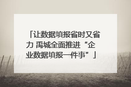 让数据填报省时又省力 禹城全面推进“企业数据填报一件事”