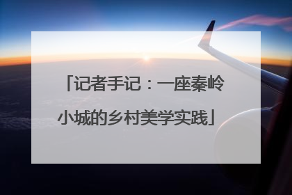 记者手记：一座秦岭小城的乡村美学实践
