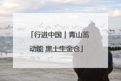 行进中国｜青山蓄动能 黑土生金仓