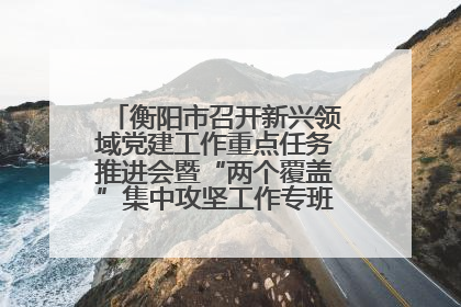 衡阳市召开新兴领域党建工作重点任务推进会暨“两个覆盖”集中攻坚工作专班 第一次会议