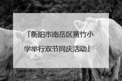 衡阳市南岳区黄竹小学举行双节同庆活动