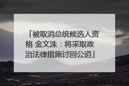 被取消总统候选人资格 金文洙：将采取政治法律措施讨回公道