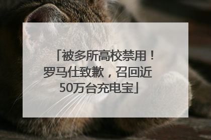 被多所高校禁用！罗马仕致歉，召回近50万台充电宝