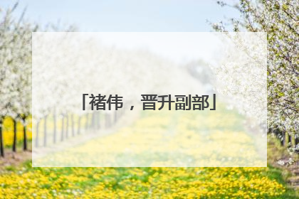 褚伟，晋升副部