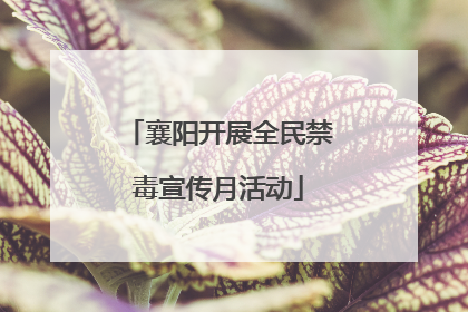 襄阳开展全民禁毒宣传月活动
