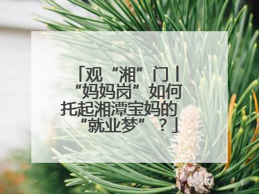 观“湘”门丨“妈妈岗”如何托起湘潭宝妈的“就业梦”？
