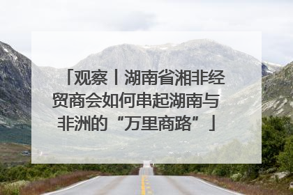 观察丨湖南省湘非经贸商会如何串起湖南与非洲的“万里商路”