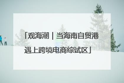 观海潮｜当海南自贸港遇上跨境电商综试区
