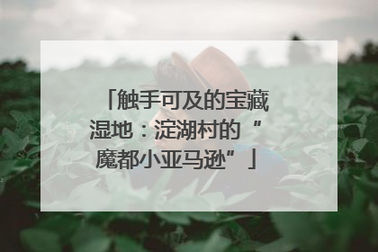 触手可及的宝藏湿地：淀湖村的“魔都小亚马逊”