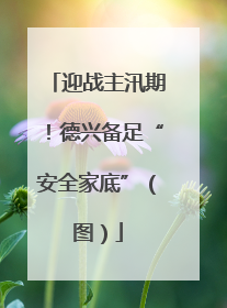 迎战主汛期！德兴备足“安全家底”（图）