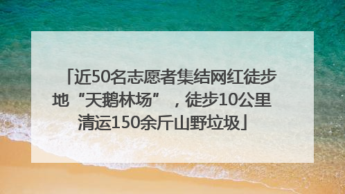 近50名志愿者集结网红徒步地“天鹅林场”，徒步10公里清运150余斤山野垃圾