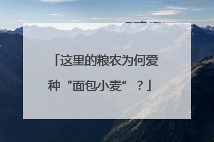 这里的粮农为何爱种“面包小麦”？