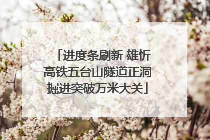 进度条刷新 雄忻高铁五台山隧道正洞掘进突破万米大关