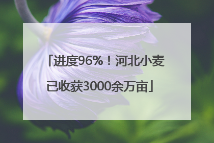 进度96%！河北小麦已收获3000余万亩