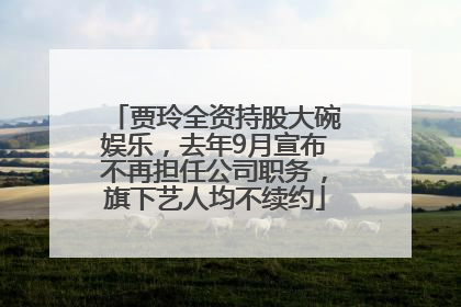 贾玲全资持股大碗娱乐，去年9月宣布不再担任公司职务，旗下艺人均不续约