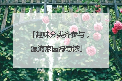 趣味分类齐参与，瀛海家园绿意浓