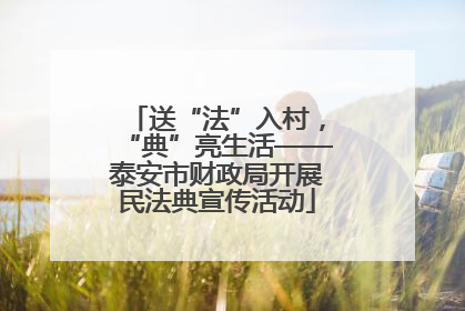 送“法”入村，“典”亮生活——泰安市财政局开展民法典宣传活动