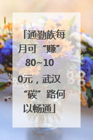 通勤族每月可“赚”80~100元，武汉“碳”路何以畅通