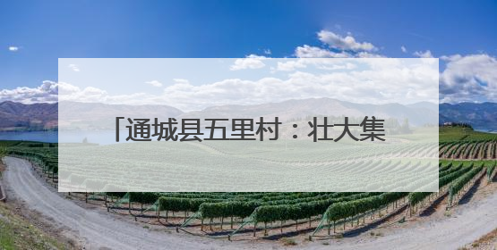 通城县五里村：壮大集体经济 赋能乡村振兴
