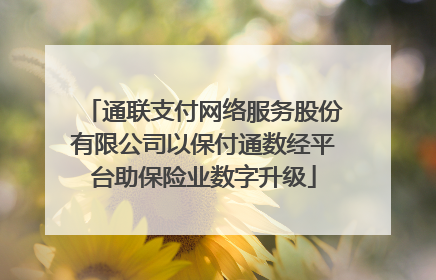 通联支付网络服务股份有限公司以保付通数经平台助保险业数字升级