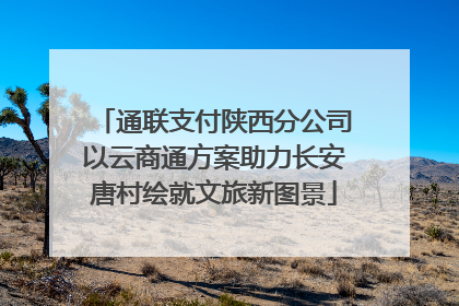 通联支付陕西分公司以云商通方案助力长安唐村绘就文旅新图景