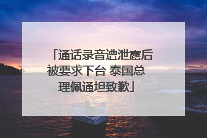 通话录音遭泄露后被要求下台 泰国总理佩通坦致歉
