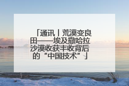 通讯丨荒漠变良田——埃及撒哈拉沙漠收获丰收背后的“中国技术”