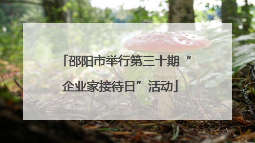 邵阳市举行第三十期“企业家接待日”活动