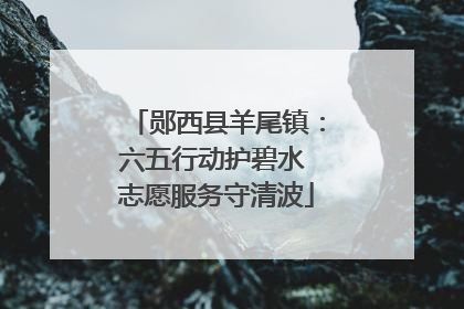 郧西县羊尾镇：六五行动护碧水 志愿服务守清波