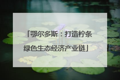 鄂尔多斯：打造柠条绿色生态经济产业链