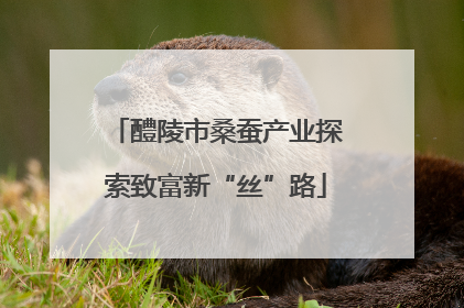 醴陵市桑蚕产业探索致富新“丝”路