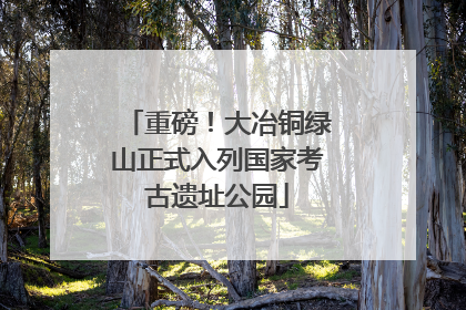 重磅！大冶铜绿山正式入列国家考古遗址公园