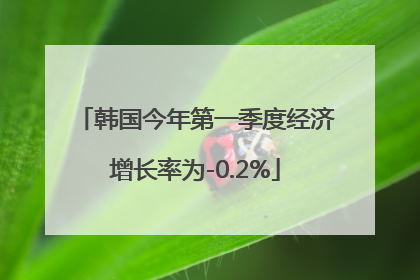 韩国今年第一季度经济增长率为-0.2%