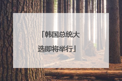 韩国总统大选即将举行