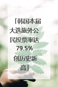 韩国本届大选旅外公民投票率达79.5% 创历史新高