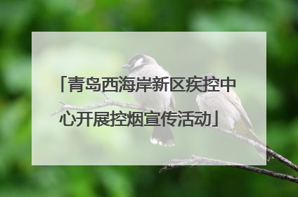 青岛西海岸新区疾控中心开展控烟宣传活动