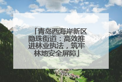 青岛西海岸新区隐珠街道：高效推进林业执法，筑牢林地安全屏障