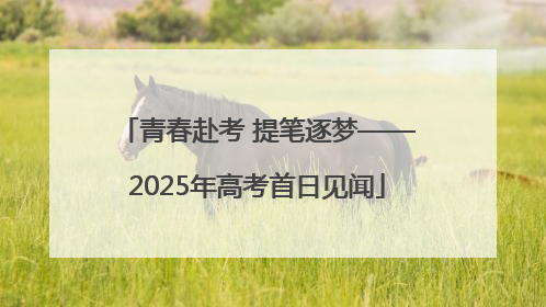 青春赴考 提笔逐梦——2025年高考首日见闻