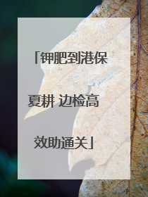 钾肥到港保夏耕 边检高效助通关