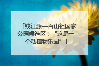 钱江源—百山祖国家公园候选区：“这是一个动植物乐园”